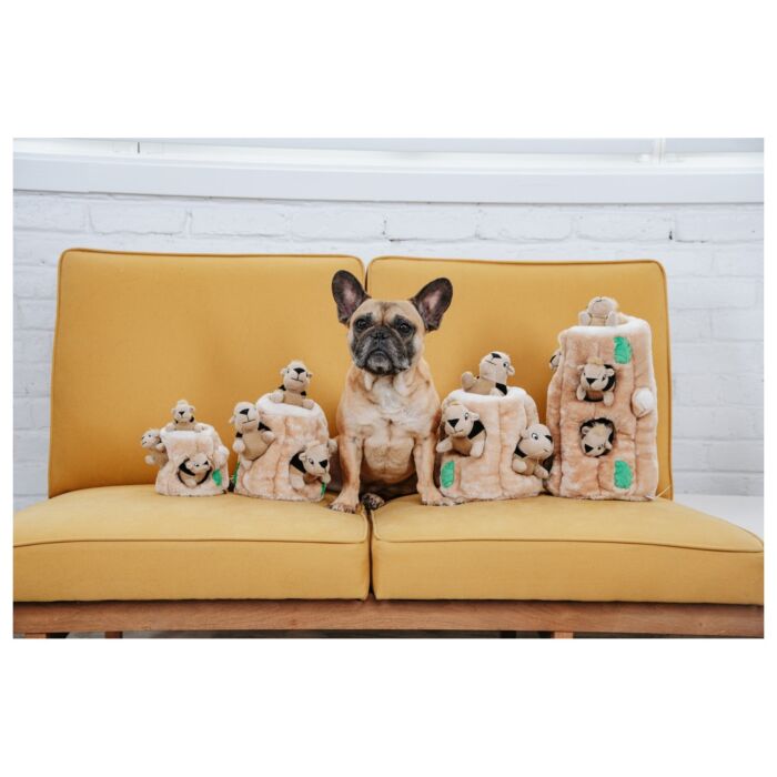 Outward Hound Dog Toy - Hide-A-Squirrel Small