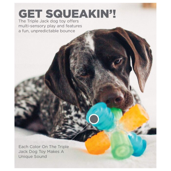 Outward Hound Dog Toy - Triple Jack