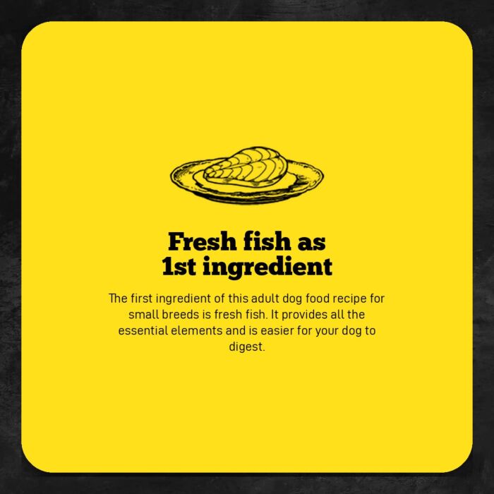 Trial Pack Oven Baked Dog Food - Small Breed - Fish