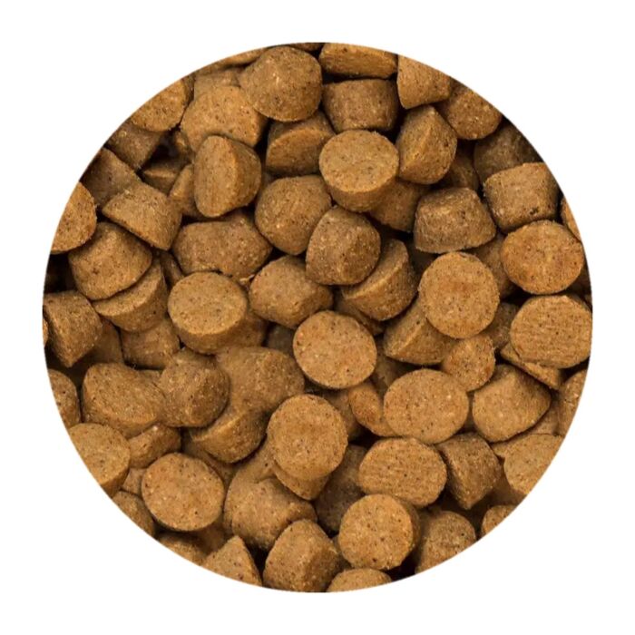 Trial Pack Oven Baked Dog Food - Small Breed - Fish
