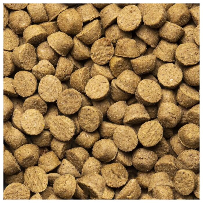 Oven Baked (奧雲寶) 成貓糧 - 新鮮去骨火雞