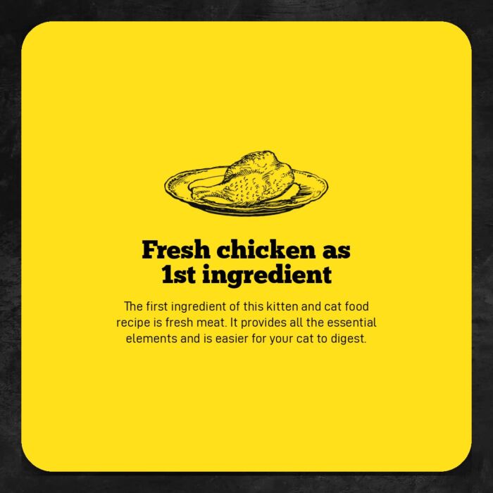 Trial Pack Oven Baked Cat Food - Grain Free Chicken