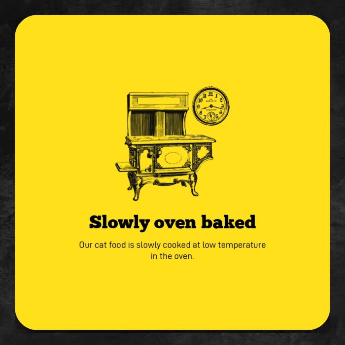 Trial Pack Oven Baked Cat Food - Grain Free Chicken