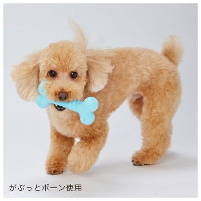 Petio 狗玩具 - 健康潔齒球