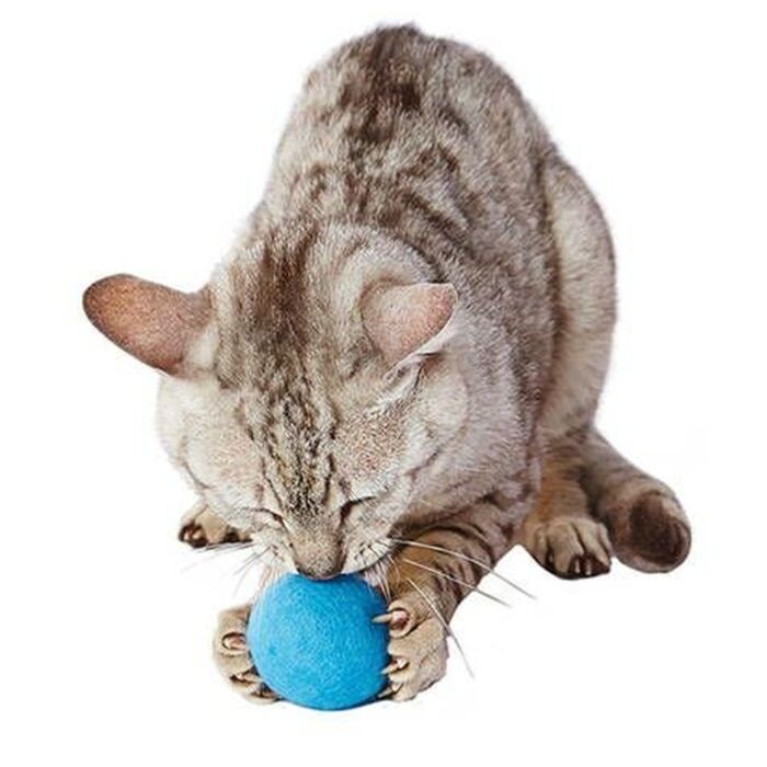 Petio Cat Toy - Big Blue Wool Ball
