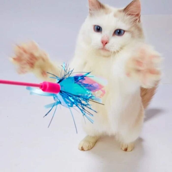 Petio Cat Toy - Teaser with Blue Glitter Tape