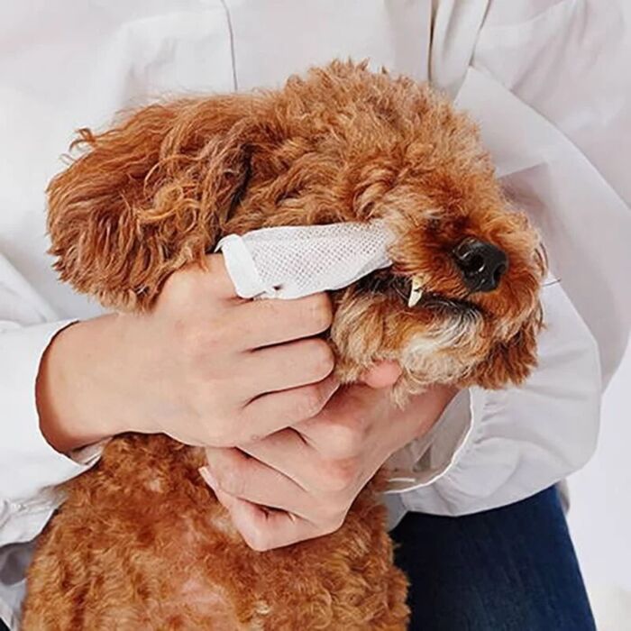 Petio Dental Wet Wipes for Dogs and Cats - Vanilla Mint (30Wipes x2)
