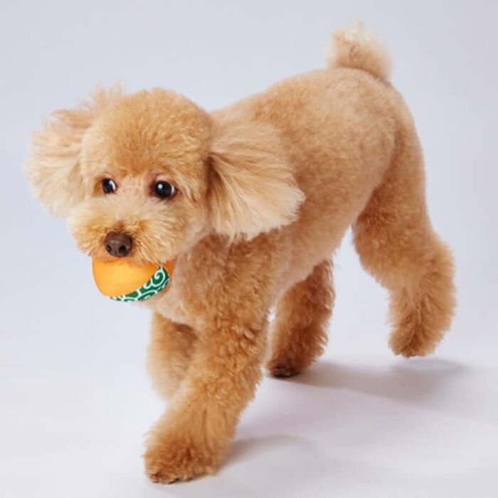 Petio 狗玩具 - 犬雅日式球發聲狗玩具 (單個) 隨機顏色