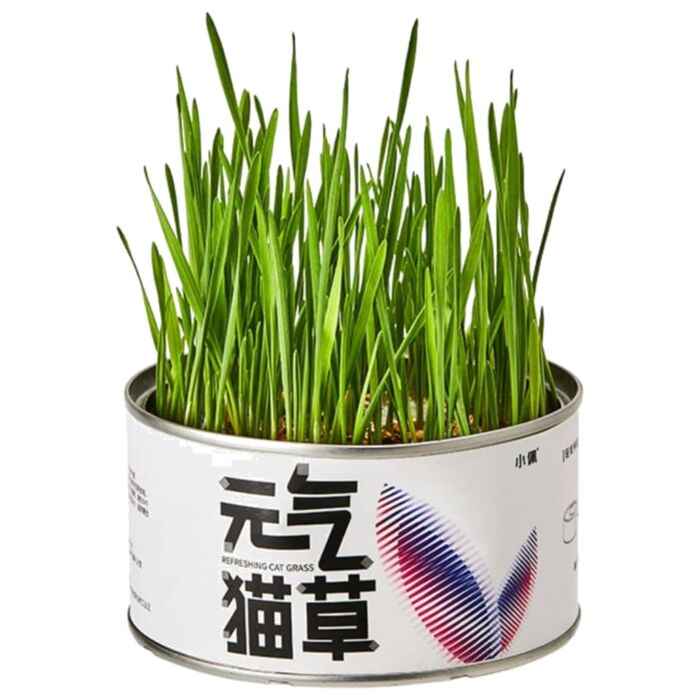 PETKIT Canned Cat Grass