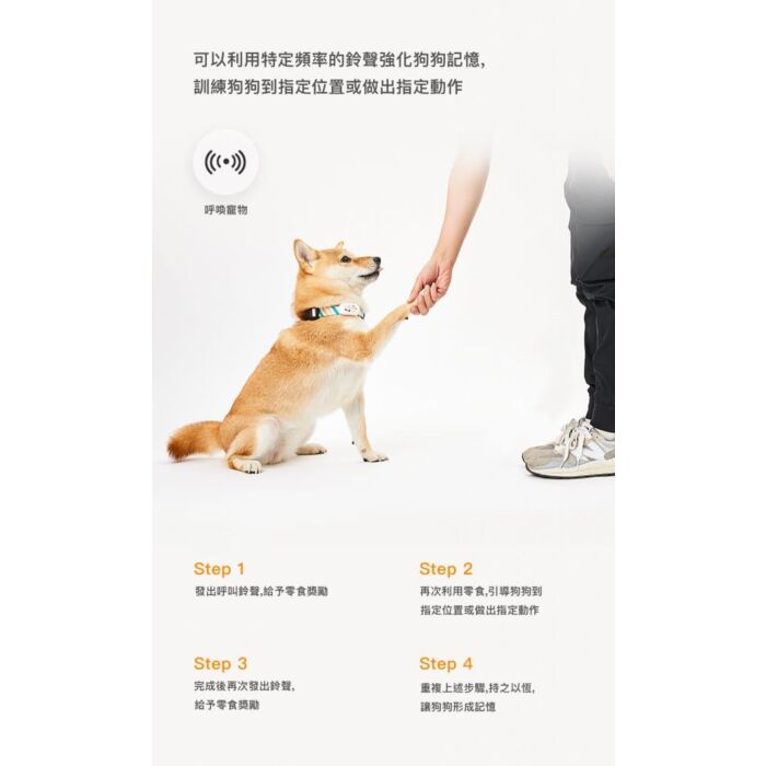 PETKIT Fit 3 Smart Pet Tracker for Cat - Small 16-21cm