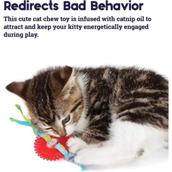 Petstages Cat Toy - Kitty Chew Wheel