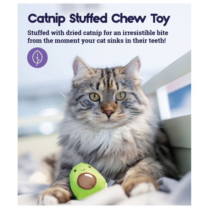 Petstages Cat Toy - Lil' Avocato Dental Health Chew