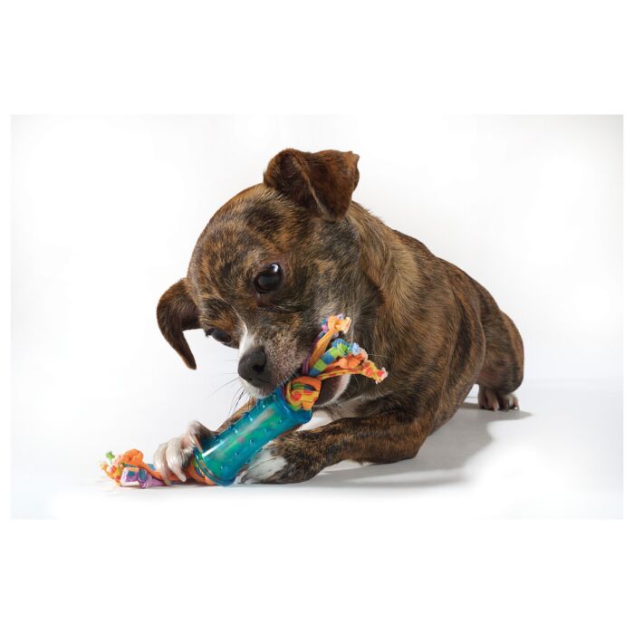 Petstages Dog Toy - Orka Mini Dental Chew Toys 3-Pack