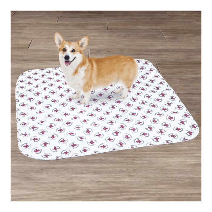 PoochPad Eco-Friendly Reusable Potty Pad - Extra Absorbent for Mature Dogs 36 x 36 Inch - X-Large