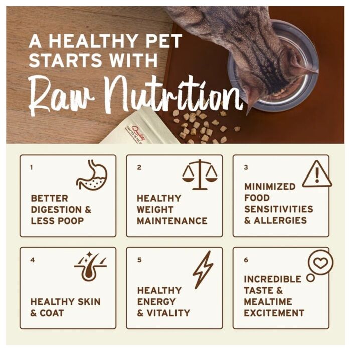 Primal Cat Food - Kibble in the Raw - Freeze-Dried Beef