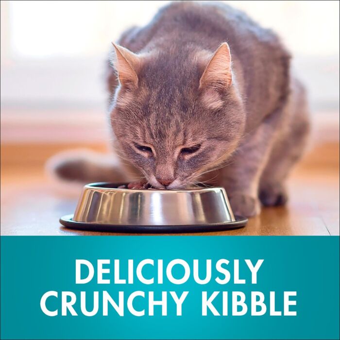 Purina ONE 貓乾糧 - 室內成貓配方 1.4kg
