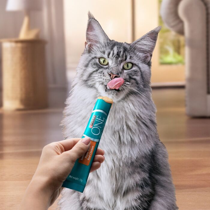 Purina ONE 貓小食 - 免疫防護 (雞肉) 56g