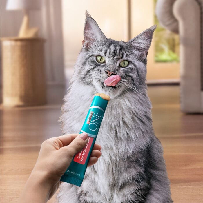 Purina ONE 貓小食 - 免疫防護 (吞拿魚) 56g