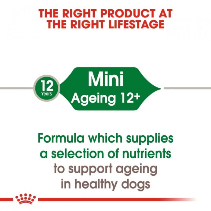 Royal Canin 法國皇家狗濕糧 - 小型老犬 8+ 營養主食濕糧 (肉汁) 85g