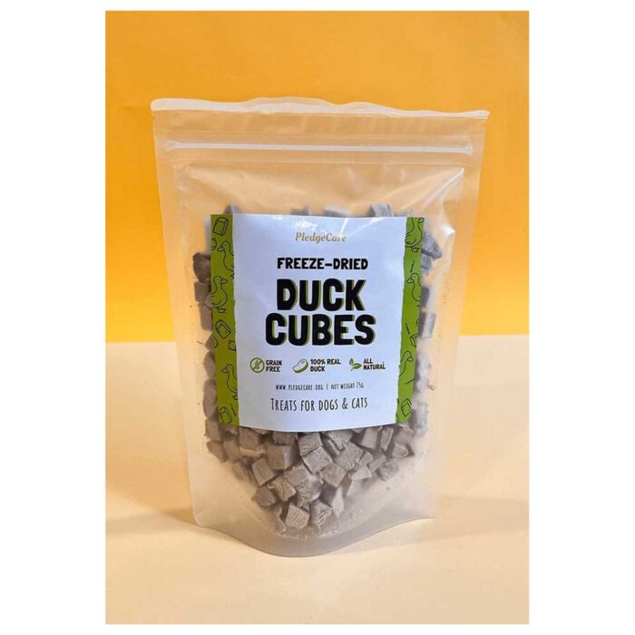 Raw Made Easy Cat & Dog Treat - Freeze-Dried Duck Meat Cubes 220g