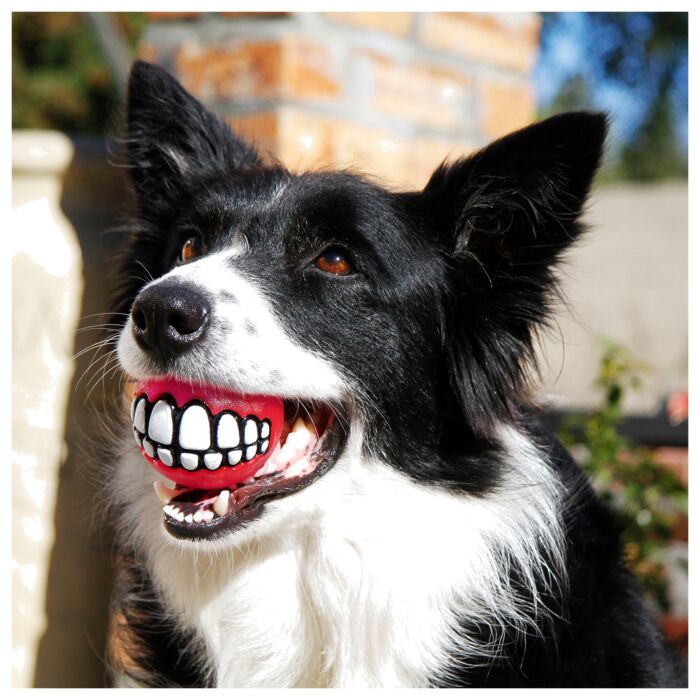 ROGZ Dog Toy - Grinz
