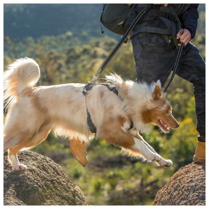 ROGZ Dog Multi-Lead 多用途拖帶