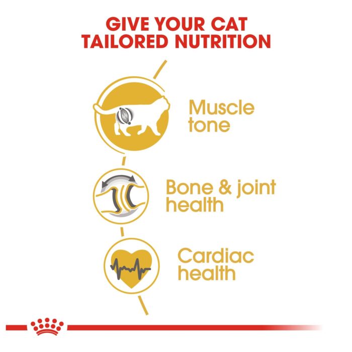 Royal Canin 法國皇家貓乾糧 - 英國短毛成貓專屬配方