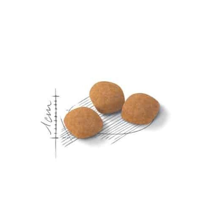 Royal Canin Cat Food - Feline Preference Protein Exigent Adult