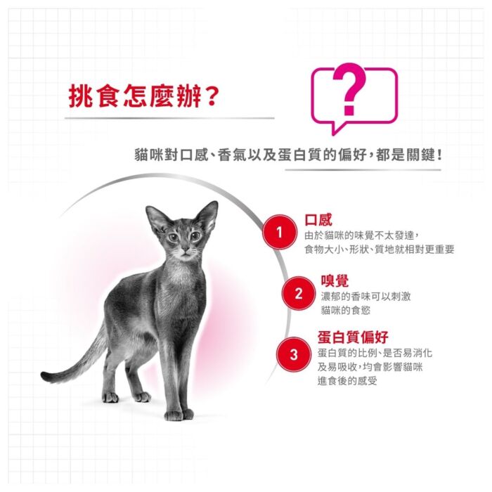 Royal Canin Cat Food - Feline Preference Protein Exigent Adult
