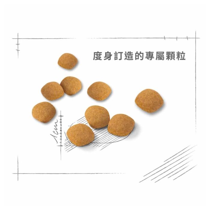 Royal Canin Cat Food - Feline Preference Protein Exigent Adult