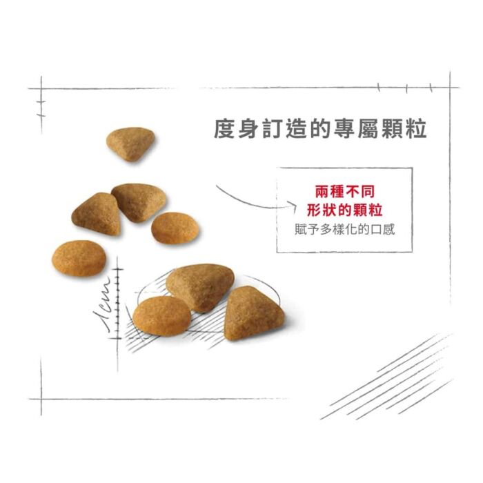 Royal Canin 法國皇家貓乾糧 - 挑嘴系列 - 成貓口感豐富挑嘴配方