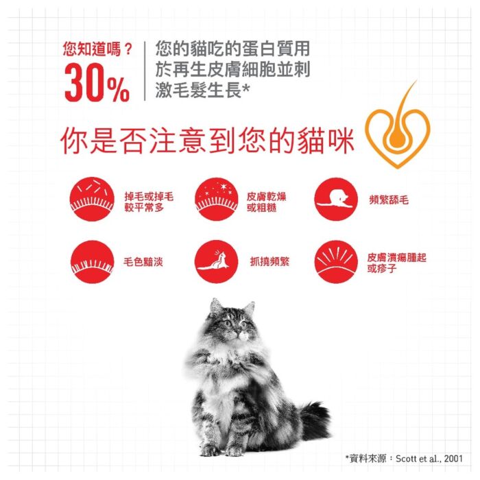 Royal Canin Cat Pouch - Hair & Skin Care Adult (Gravy) 85g