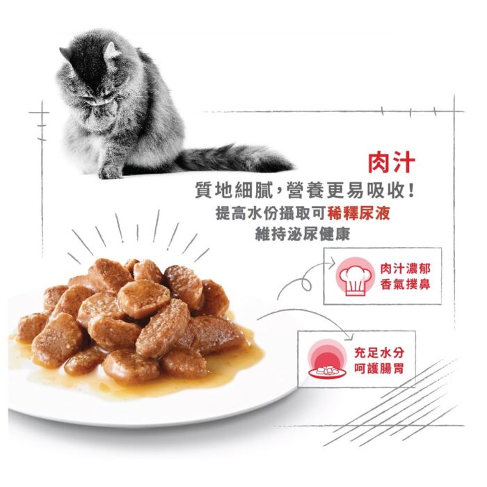 Royal Canin Cat Pouch - Hair & Skin Care Adult (Gravy) 85g