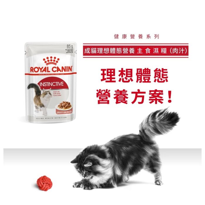Royal Canin 法國皇家貓濕糧 - 成貓理想體態營養主食濕糧 (肉汁) 85g
