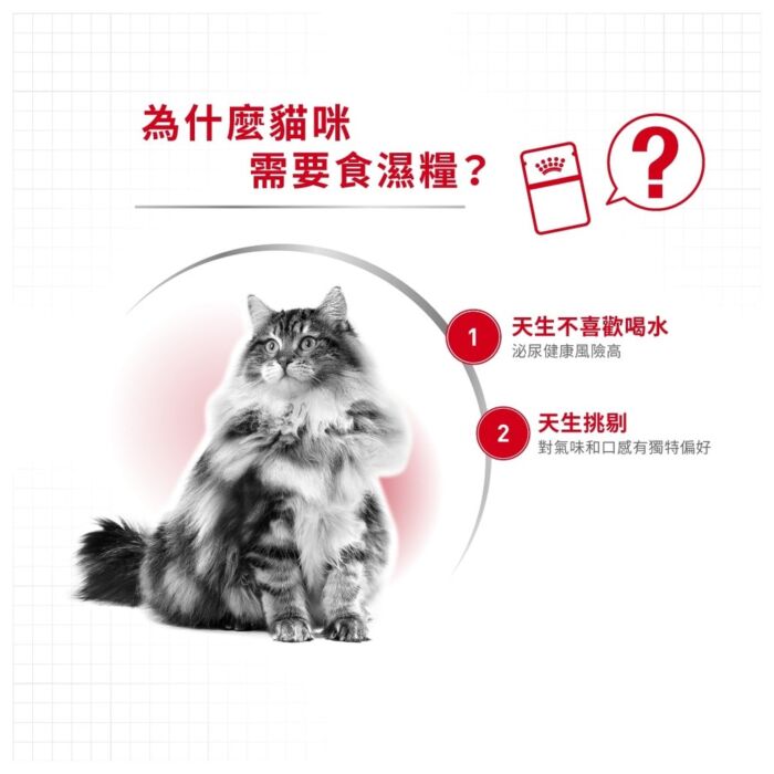 Royal Canin 法國皇家貓濕糧 - 成貓理想體態營養主食濕糧 (肉汁) 85g