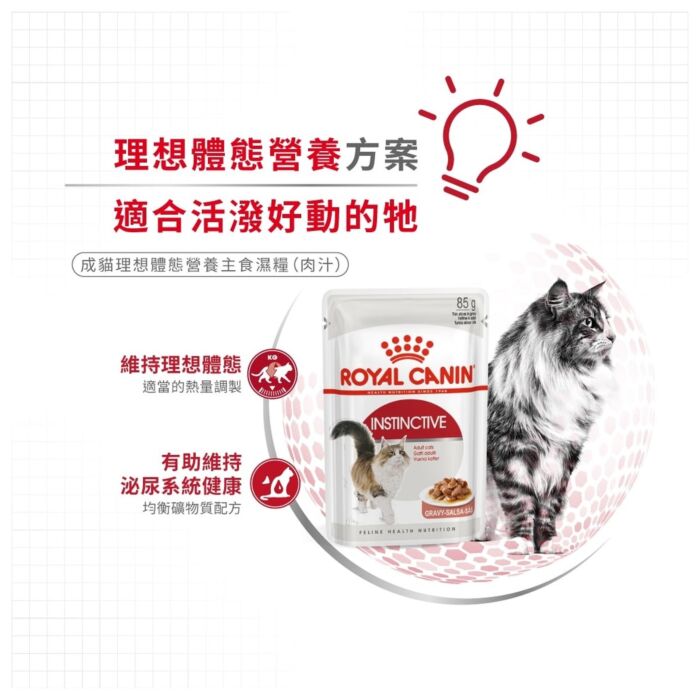 Royal Canin 法國皇家貓濕糧 - 成貓理想體態營養主食濕糧 (肉汁) 85g