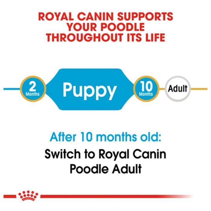 Royal Canin Puppy Food - Poodle Puppy 3kg