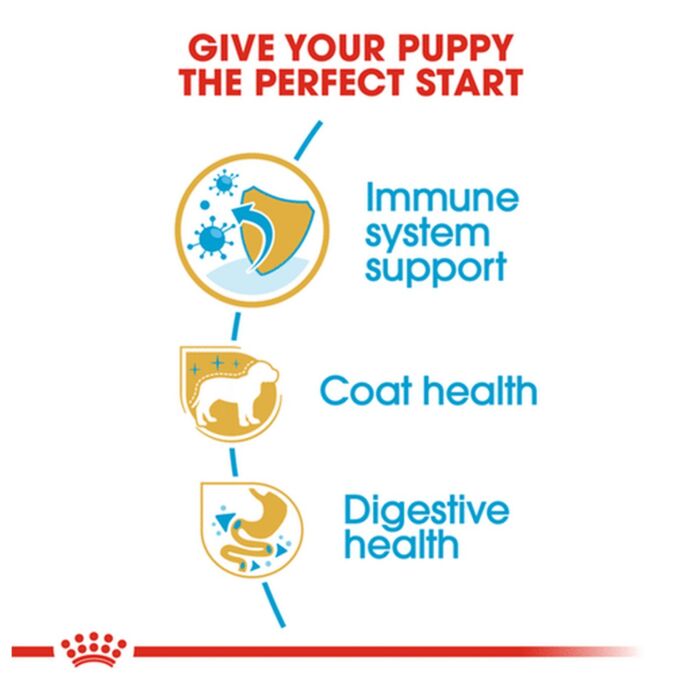 Royal Canin Puppy Food - Poodle Puppy 3kg