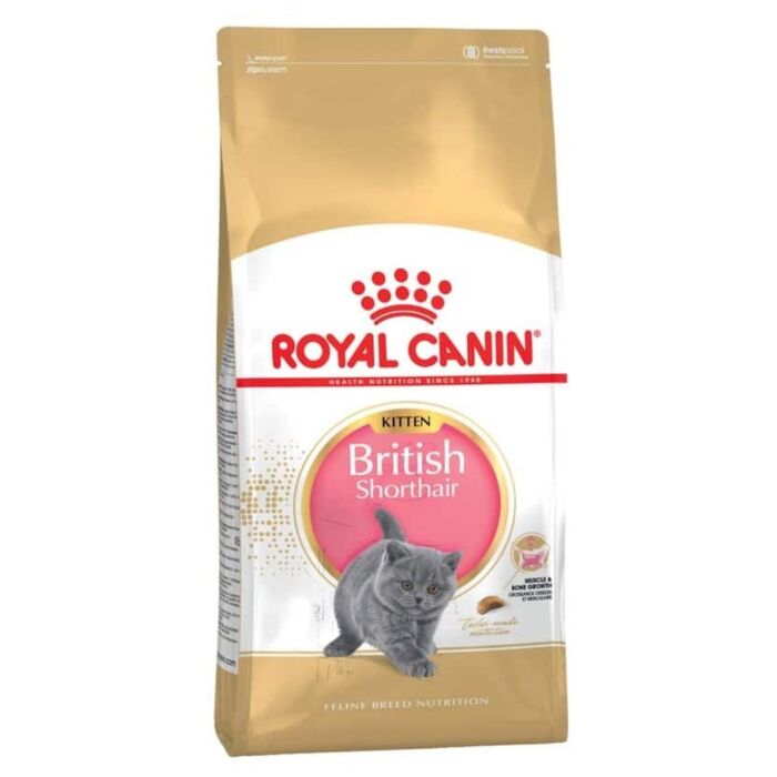 Royal Canin 法國皇家幼貓乾糧 - 英國短毛幼貓專屬配方