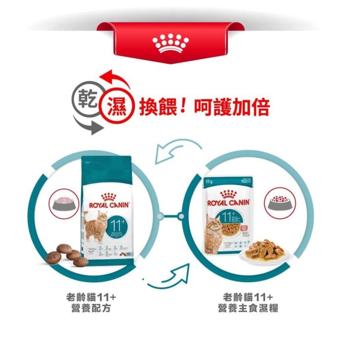 Royal Canin法國皇家老貓乾糧 - 老年貓11+營養配方