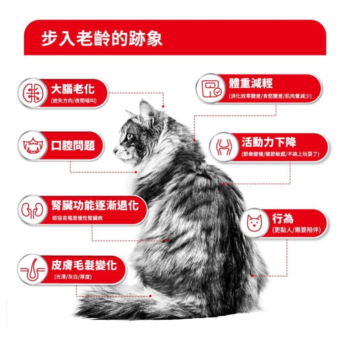 Royal Canin法國皇家老貓乾糧 - 老年貓15+營養配方 2kg