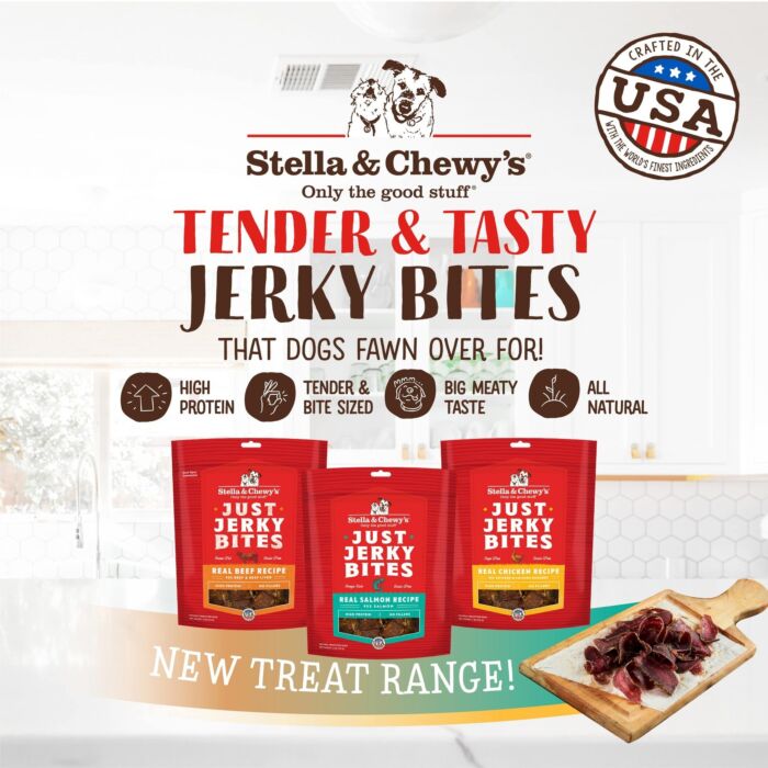 Stella & Chewys Dog Treat - Just Jerky Bites - Freeze Dried Salmon 6oz