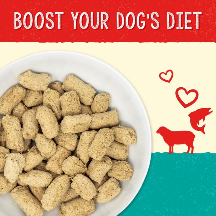 Stella & Chewy's 狗糧 - Skin & Coat Boost Meal Mixer - 凍乾羊肉及三文魚