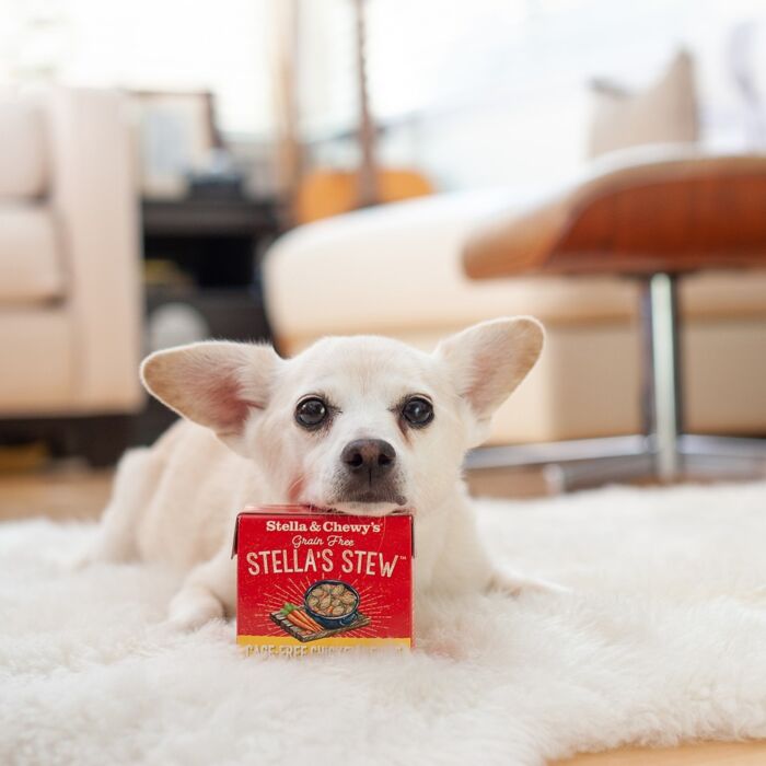 Stella & Chewys Dog Pouch - Stella's Stews - Cage-Free Medley 11oz