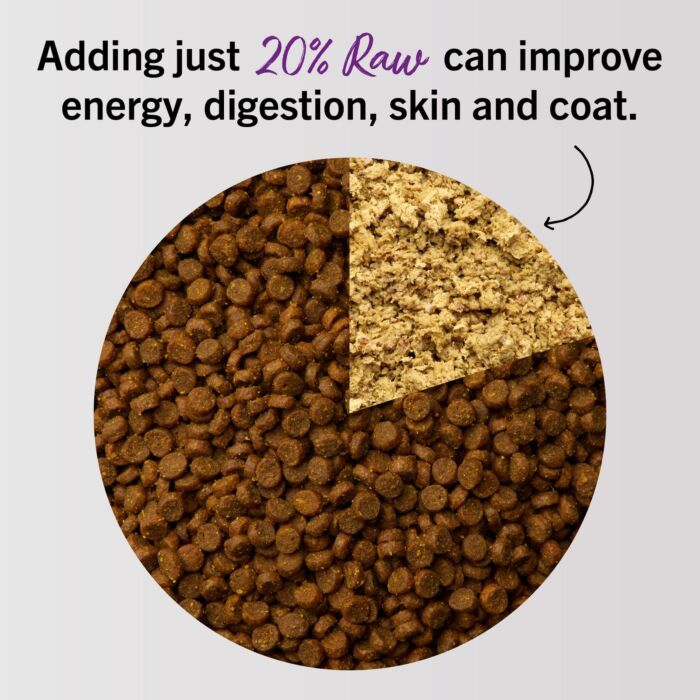 Stella & Chewys Cat Food - Freeze Dried Dinner Morsels - Absolutely Rabbit