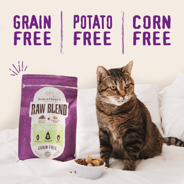 Stella & Chewys Cat Food - Raw Blend Baked Kibble - Cage Free Chicken