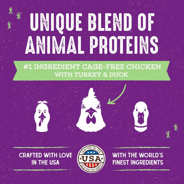 Stella & Chewys Cat Food - Raw Blend Baked Kibble - Cage Free Chicken