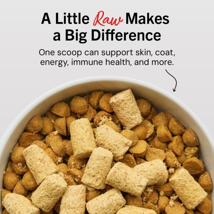Stella & Chewys Dog Food - Meal Mixer - Freeze Dried Duck Duck Goose 3.5oz