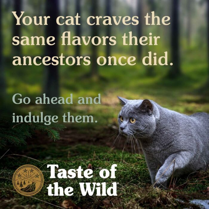 Taste Of The Wild Cat Food - Grain Free Canyon River - Trout & Smoked Salmon