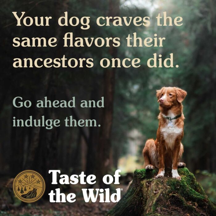Trial Pack Taste Of The Wild Puppy Food - Grain Free High Prairie - Bison & Roasted Venison